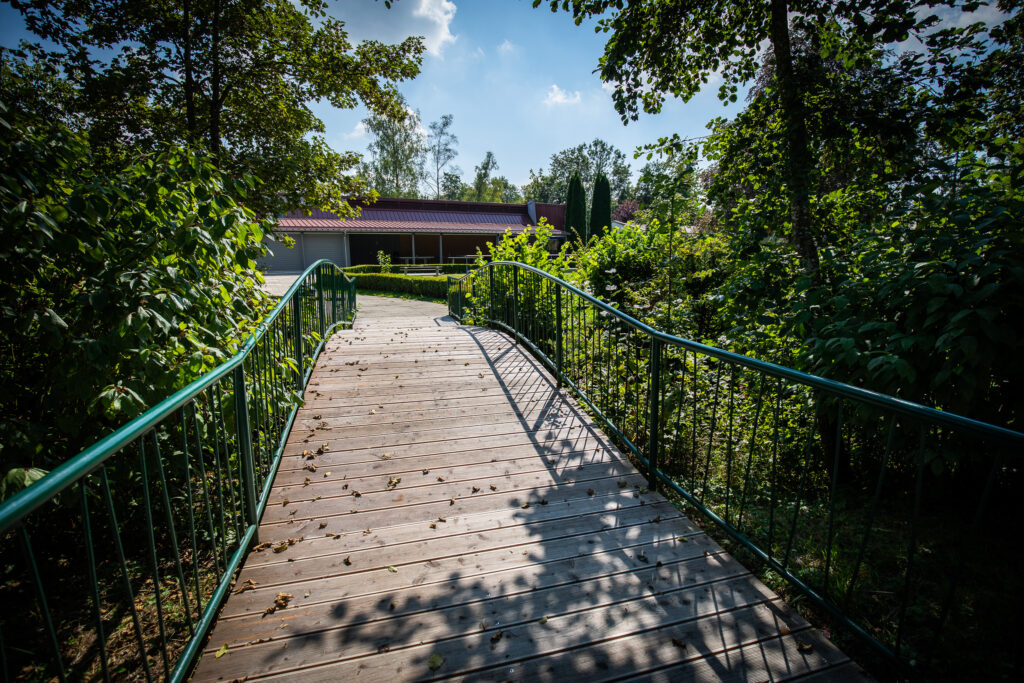 Brücke